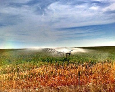 Sabugal recebe apresentação do SmartFarmer Beira Interior