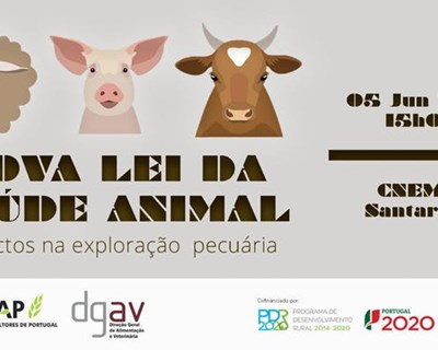 Santarém debate nova lei da saúde animal