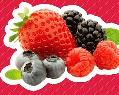 Santo Tirso recebe seminário sobre Pequenos Frutos