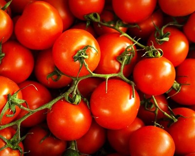 São Pedro do Sul: autarquia apoia produção biológica