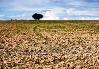 Secas e chuvas: ONU prepara sistema de alerta para agricultores