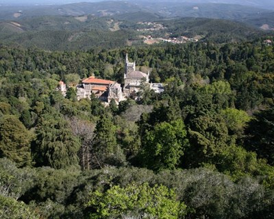 Secretário de Estado das Florestas assinala recuperação da Mata do Bussaco