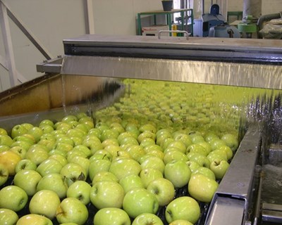 Segurança alimentar: alertas crescem ligeiramente em 2015