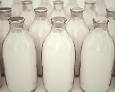 Segurança alimentar: indústria de laticínios chinesa recupera