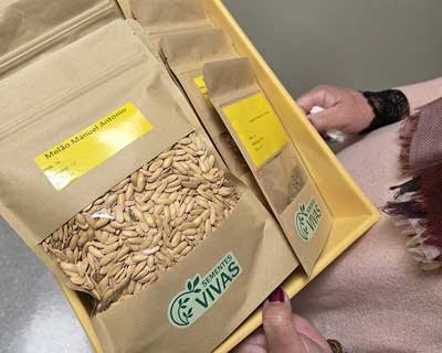 Sementes Vivas entrega sementes de variedades tradicionais ao Banco Português de Germoplasma Vegetal