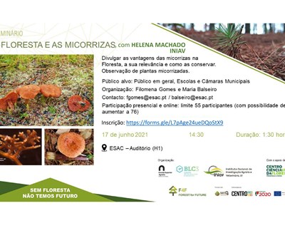 Seminário "A Floresta e as Micorrizas”