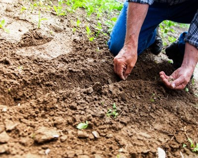Seminário “Gestão Sustentável do Solo em Portugal - Linhas de Orientação”
