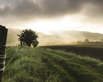 Seminário: Pagamentos agroambientais baseados em resultados – uma nova visão em termos de política agrícola para Portugal?