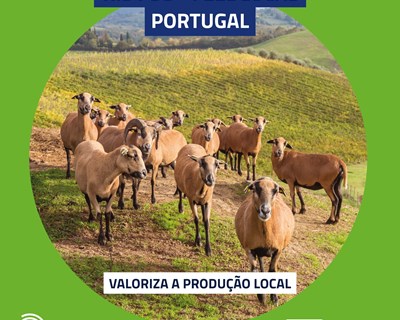 Sentir Local: Compreender a lacuna entre a produção local e os consumidores