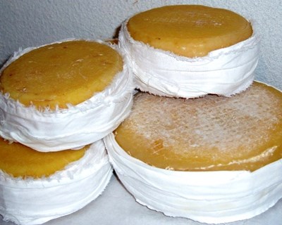 Serpa é a «capital» do queijo durante três dias
