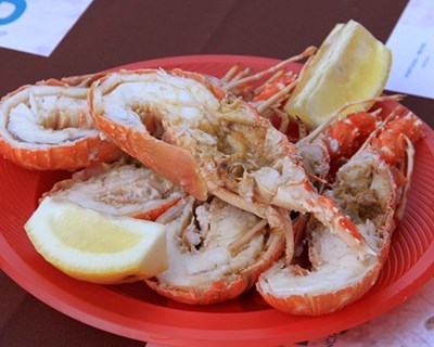 Setúbal: festival celebra produtos do mar durante 11 dias