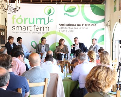 Setor agrícola deve comunicar melhor com a população urbana