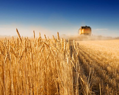 Setor agroalimentar da Madeira avaliado em €514,6 milhões