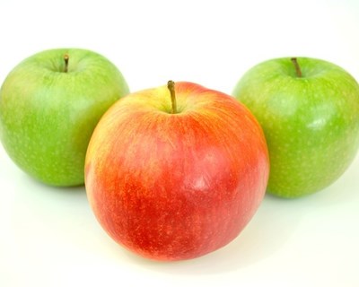 Setor agroalimentar desafiado a apostar na sustentabilidade alimentar