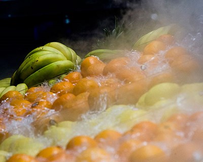“Setor alimentar e biodiversidade” em debate