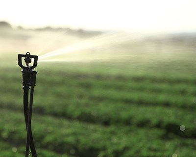 Setor europeu da agricultura de regadio organiza-se numa única associação