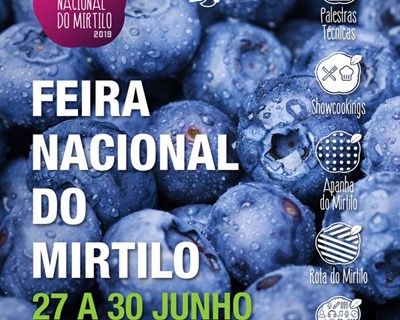 Sever do Vouga: Feira Nacional do Mirtilo em junho