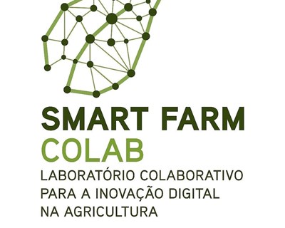 SFCOLAB organiza International Wednesday