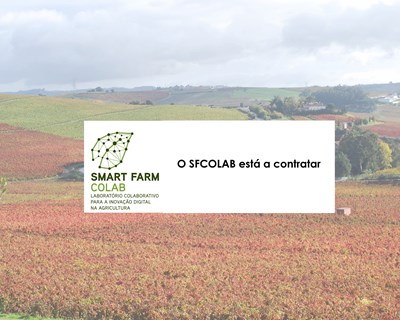SFCOLAB está a contratar: Gestor de Projetos