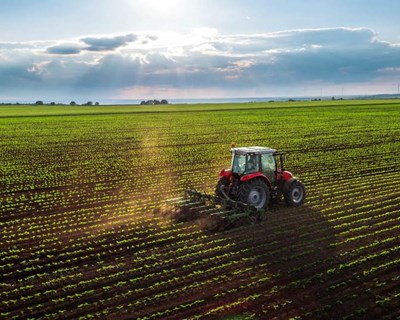 SIMAB e Cabo Verde cooperam no Agronegócio