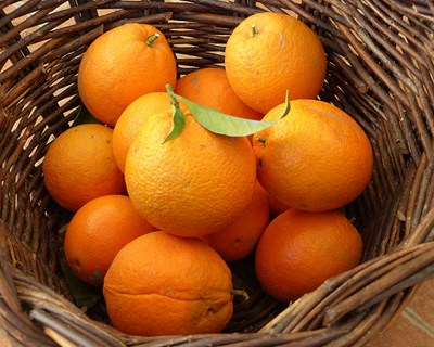 Simpósio de Fruticultura: submissão de trabalhos alargado até 10 de novembro