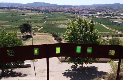 Simpósio debate aproveitamento da biomassa das vinhas
