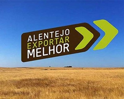 Sines junta empresas alentejanas e internacionais para ajudar exportações