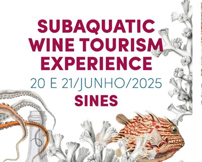 Sines recebe primeiro evento dedicado ao enoturismo subaquático em Portugal