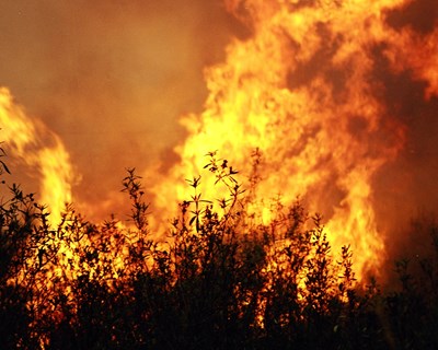Sistema tecnológico de proteção contra incêndios rurais testado no concelho de Arganil