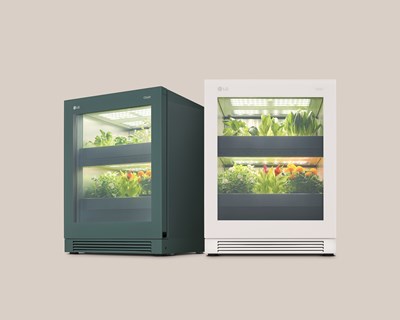 Smart Garden: o sistema que permite cultivar os seus próprios vegetais durante todo o ano