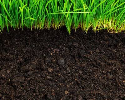“Smart Ruris - Tecnologias TICE para o setor agrícola” em debate