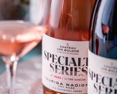 Sogrape distinguida pela introdução de Touriga Nacional no Chile