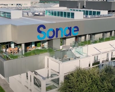 Sonae e MC lideram combate às alterações climáticas a nível mundial, segundo CDP