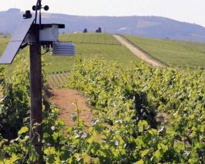 Startup do Porto cria ferramenta que aumenta produtividade agrícola