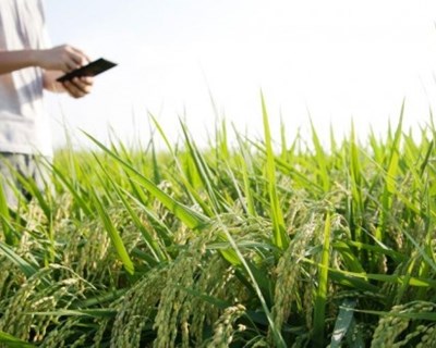 Startups e a revolução agrícola mundial