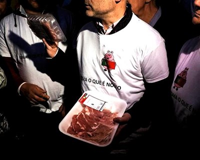 Suinicultura: CDS apresenta medidas para combater crise no setor