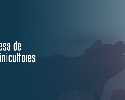 Suinicultura em tempos de pandemia