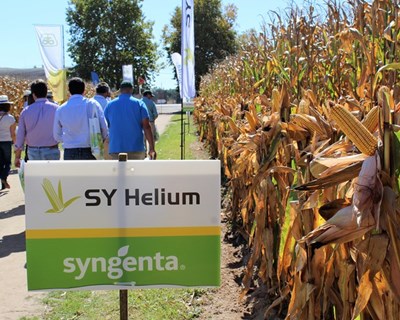 Syngenta realiza investimento de 1,8 mil milhões de euros e estabelece novos objetivos para enfrentar as alterações climáticas