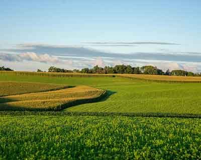 TAGUS abre concurso com mais de 300 mil euros para apoiar projetos de agricultores do Ribatejo Interior