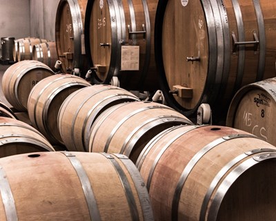 TAGUS apoia candidaturas para aumento da capacidade de armazenagem do vinho