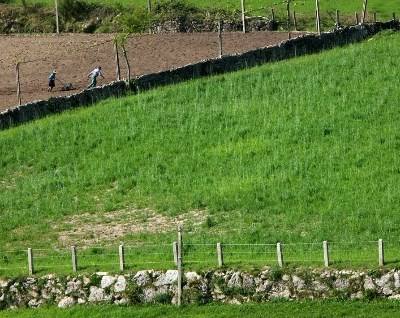 TAGUS com candidaturas abertas para apoiar investimentos agrícolas no Ribatejo Interior