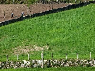 TAGUS dinamiza sessões de esclarecimento sobre os apoios para a agricultura
