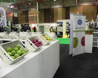 Tecfresh’18 começa esta quinta-feira