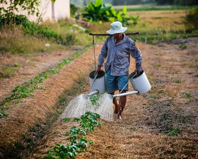 «Temos disponibilidade para ir até 1250 €» nas ajudas aos pequenos agricultores