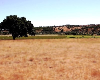 Tertúlias do Montado regressam a Évora