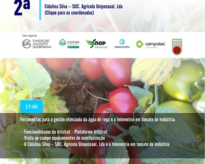 2.ª sessão técnica sobre tomate de indústria do H2OptiDemo destaca gestão optimizada da água de rega