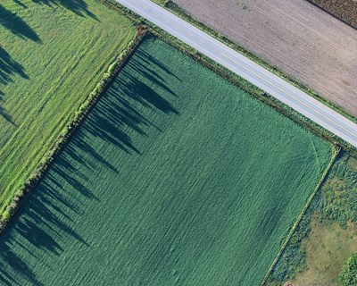 Tribunal de Contas Europeu questiona pagamentos diretos da PAC aos agricultores