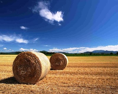 UE: Cooperativas Agrárias são mais resistentes em tempos de crise