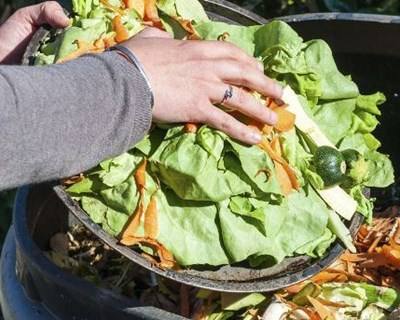 UE deve ser mais eficaz no combate ao desperdício alimentar