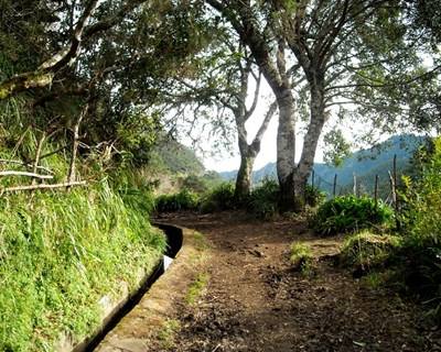 UE é a principal importadora produtos da floresta tropical desmatada ilegalmente